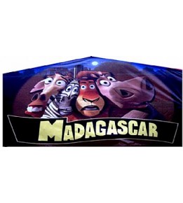 Madagascar Banner