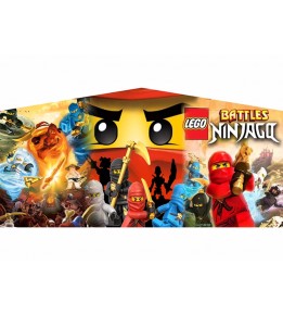 Ninjago Banner